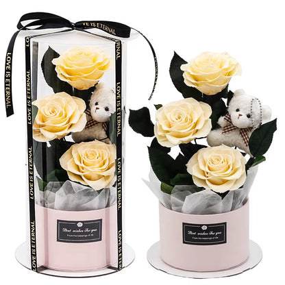 Eternal Rose Hug Bucket Gift Box